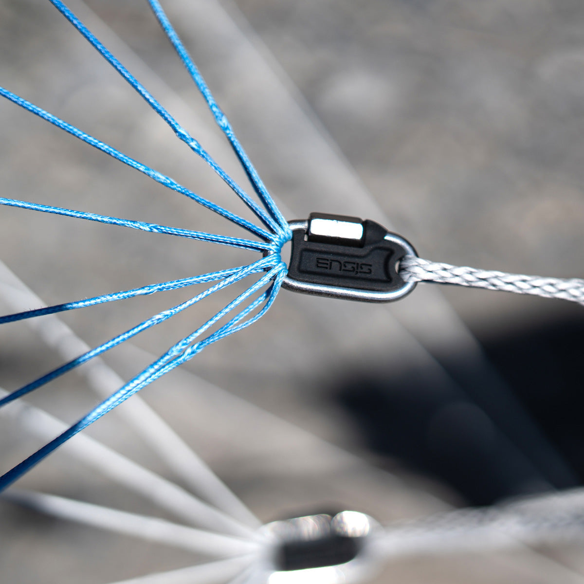 Ensis Roger / MBS All-Terrain Board Package